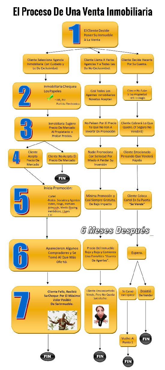 Infografía Inmobiliaria - Proceso