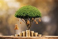 Autoresponders De Correo Electrónico - Aprovechalos Al Maximo