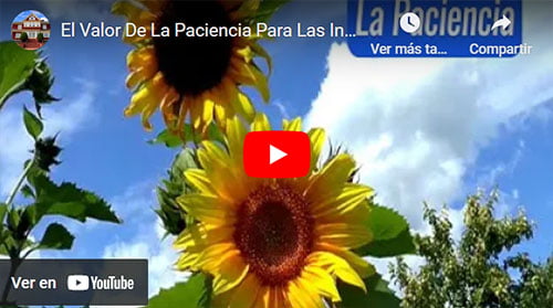 El Valor De La Paciencia - video